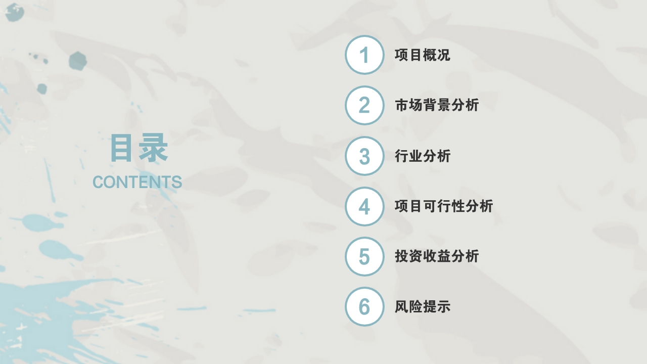 市场背景分析.行业分析.项目可行性分析.投资收益分析.风险提示